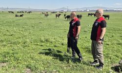 Kayseri’de mandacılığın geleceği konuşuldu: Sektör temsilcileri Hacılar’da buluştu