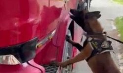 Niğde'de uyuşturucu operasyonları: 5 şüpheli tutuklandı!