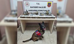Pınarbaşı’nda 10 bin doldurulmuş makaron ele geçirildi