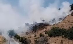 Kayseri Beştepeler'de 4 dönüm alan kül oldu