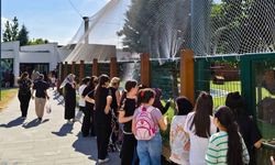 Kayseri’de belediye ücretsiz yaptı: 6 bin kişi akın etti!
