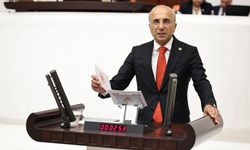 Aşkın Genç: Türkiye'de emekçi Almanya'dan yüzde 25 daha fazla çalışıyor