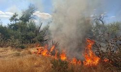 Bünyan’da yangın paniği! Alevler yulaf tarlasına sıçradı