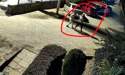 Kucağında çocuğu varken karısına ateş açtı: Anne hayatını kaybetti