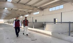 Kayseri’de 21 hayvancılık projesine hibe desteği verilecek