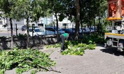 Kayseri’de okullar yeni döneme hazırlanıyor: Ekipler sahaya indi