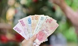 Öğrenim kredisi, vergi ve trafik borcu olanlar dikkat! Son gün 31 Ağustos!