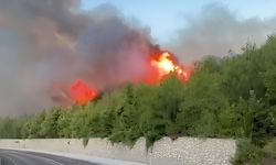 Adana’da orman yangınıyle mücade devam ediyor: 40 ev tahliye edildi