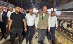 Kayseri'de hasat başladı, Şemsi Bayraktar ay çekirdeği üretiminde şaşırtan rakamı açıkladı