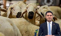 Kesim fiyatlarını kim belirliyor? Kayseri’deki iddialar Meclis gündeminde