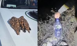 Kayseri’de nesli tehlike altındaki bağırtlak kuşunu avlayan kişi yakalandı