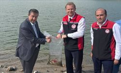 Kayseri Yeşihisar'da baraja yavru sazanlar bırakıldı