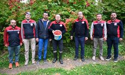 Kayseri Akkışla’da gilaburu hasadı başladı: Bereketli sezon dileği