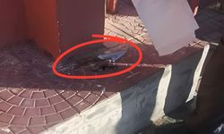 Başakşehir’de ortaokuldaki kız öğrenci arkadaşlarını bıçakladı: 5 öğrenci yaralandı