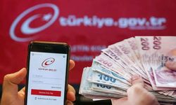 e-Devlet mirasçı borç sorgulama başladı! Risk Merkezi Raporu nasıl alınır?
