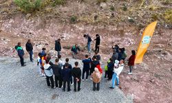 Büyükşehir’den Kayseri’ye yeşil dokunuş: 1.150 fidan toprakla buluştu!