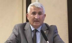 Kayseri’de sokak kedileri için önerge verdi! Belediyeden ret geldi
