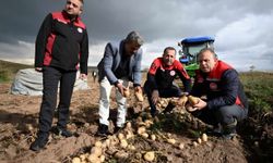 Talas’ta patates hasadı yapıldı! İl Müdürü Saklav üreticilerle buluştu