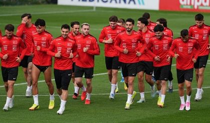 A Milli Takım'ın Fransa ve İtalya maçlarının oynanacağı statlar belli oldu