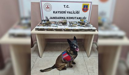 Pınarbaşı’nda 10 bin doldurulmuş makaron ele geçirildi