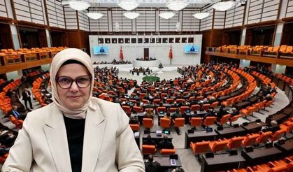 Ayşe Böhürler 468 Milletvekiline köşe yazısı yazdı