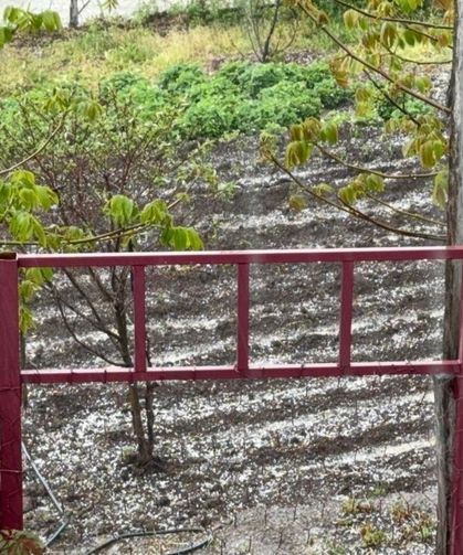 Develi’de dolu yağışı tarım arazilerine zarar verdi!
