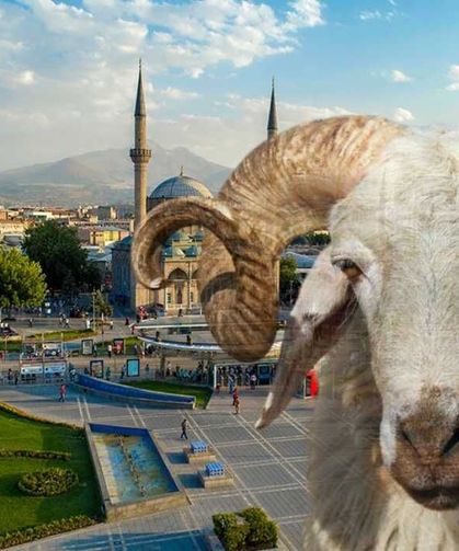Ercan Aras: Anaç hayvanı keserek kurbanı yerine getiriyorsunuz ama vebal de işliyorsunuz!