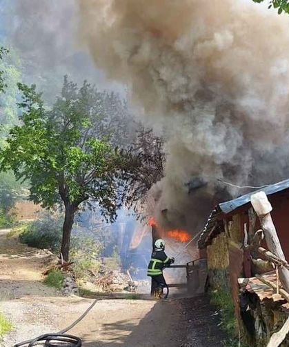 Adana’da yangın ormana sıçradı!