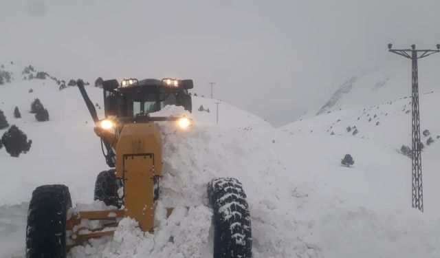 Karla Mücadele Çalışmaları Devam Ediyor