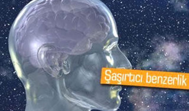 İnsan Beyni İnternet Benzeri Çıktı