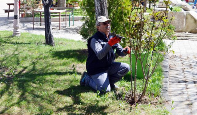Sarıoğlan’da Parklara Bakım, Çiçek, Fidan Ve Ağaçlara Budama