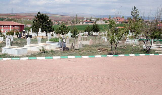 Sarıoğlan mezarlığına çiçek ve fidan