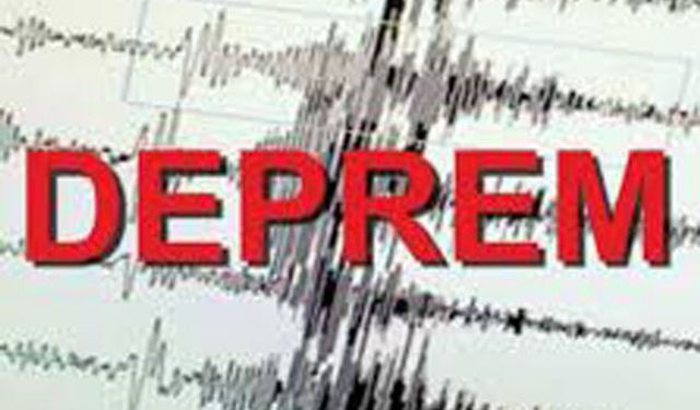 Sarıoğlan'da 4 Şiddetinde Depremin Ayrıntıları