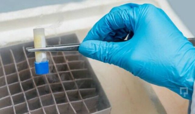 Yumurta Dondurma İşlemiyle Geç Yaşta Sağlıklı Hamilelik Mümkün Olabilecek 