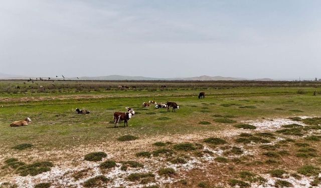 Kayseri'de Tuzla Gölü güzelliğiyle göz kamaştırıyor