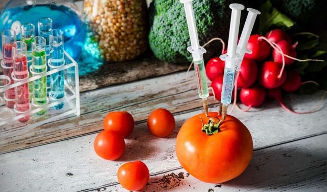 Çin’de yetişen dev sebzeler: Genetik oyunlar mı?