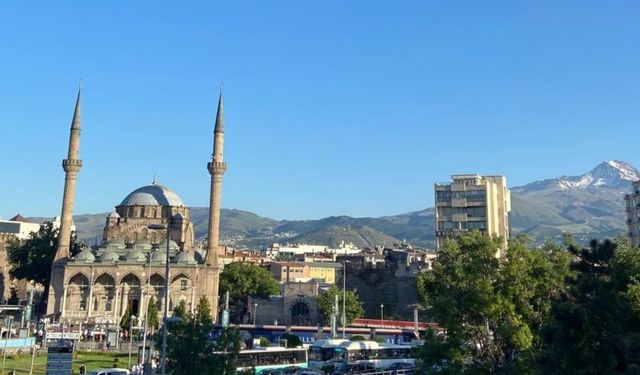 Kayseri'nin o ilçesinde kene ısırması 3 can aldı! Belediye başkanı uyardı!