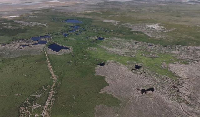 Kuş cenneti alarm veriyor! Sultan Sazlığı'nda artık su değil tilkiler var