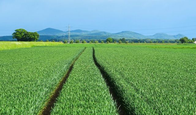 Fiyatı gören şaşırdı: Mahkeme Kayseri'de 1.5 dönüm alanı bu fiyata satacak