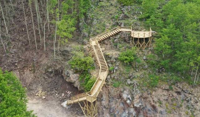 Yeniden Refah Partisi’nden Ortaseki Ormanları için sert çıkış: “Bir yol yapmak bu kadar mı zor?”