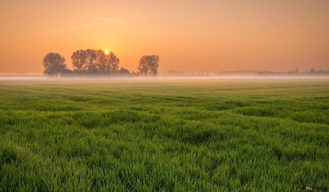 Kayseri'de büyük tarla satılacak: Mahkeme bu rakamı ilk getirene satacak