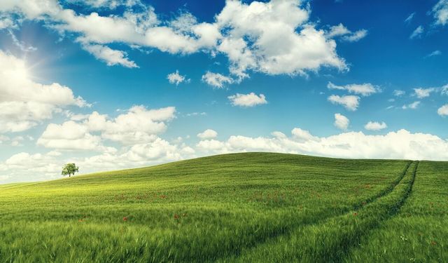 Kayseri'de araba fiyatına büyük tarla satılacak: Mahkeme yeri ve fiyatını açıkladı