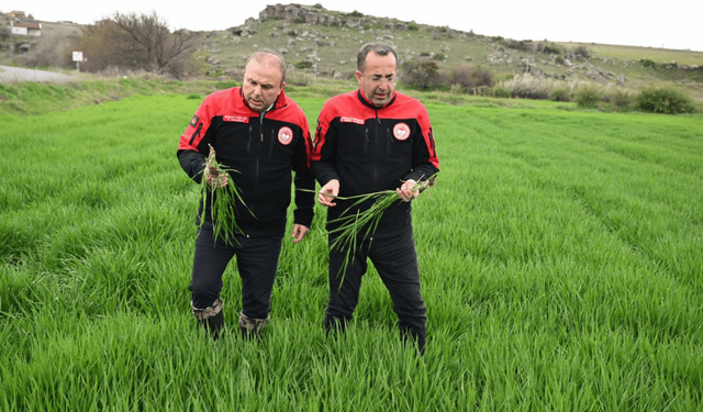 Kayseri’de fenolojik gözlem devam ediyor: İl müdürünün yeni durağı Melikgazi oldu!