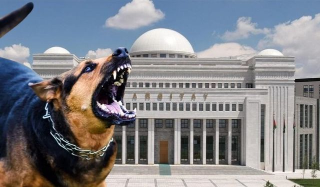 Kayseri’de o ısırığa 2 milyon TL tazminat!