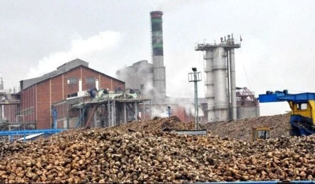 Sakarya pancarı Niğde yolunda: Yıldız Holding'de üretimi durdu