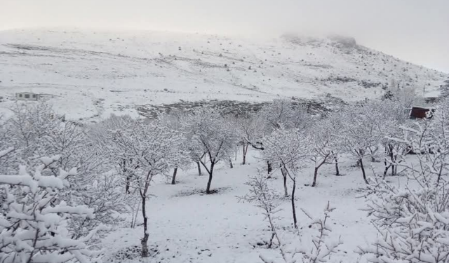 Kayseri’de hava sıcaklıkları düştü: Akkışla ve Tomarza beyaza büründü!