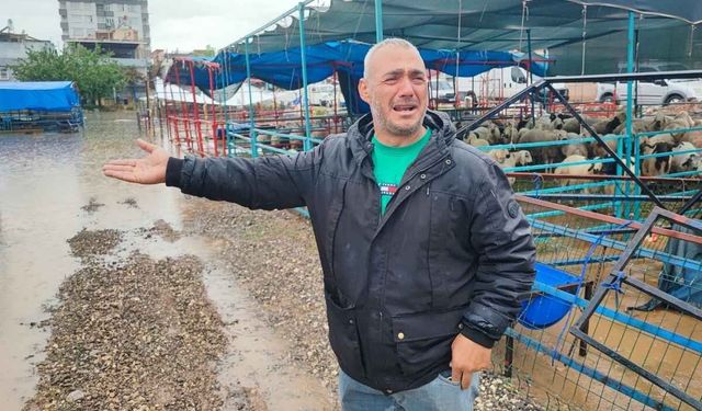 Kurban Bayramı öncesi hayvan pazarını sel bastı!