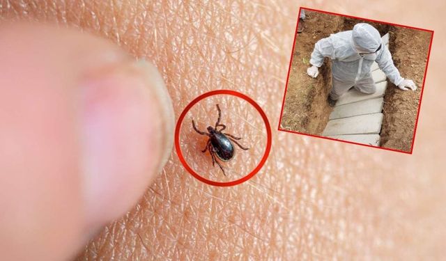 Bu iki ayda zirve yapıyor! Uzmanlardan KKKA uyarısı: Sürekli kontrol edin!