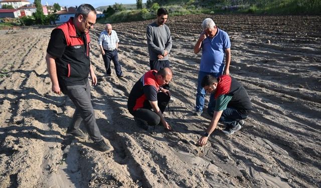 Develi’de meydana gelen sel ve dolu yağışı tarım alanlarını vurdu: Bülent Saklav’dan inceleme!
