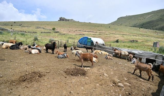 Kayseri Büyükşehir’den Develi’de üreticiyi sevindirecek haber